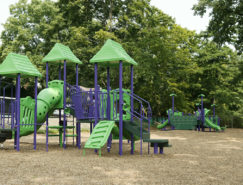 Plaground at Froggy Park